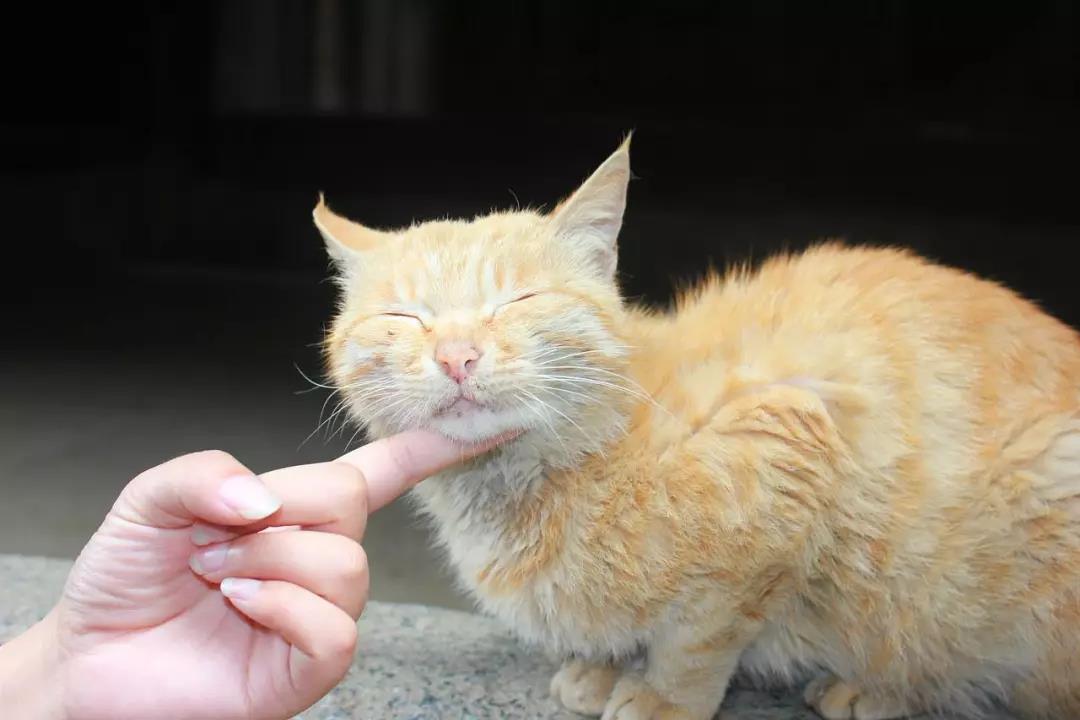 1563759046198854.jpg 微信图片_20190722092207.jpg